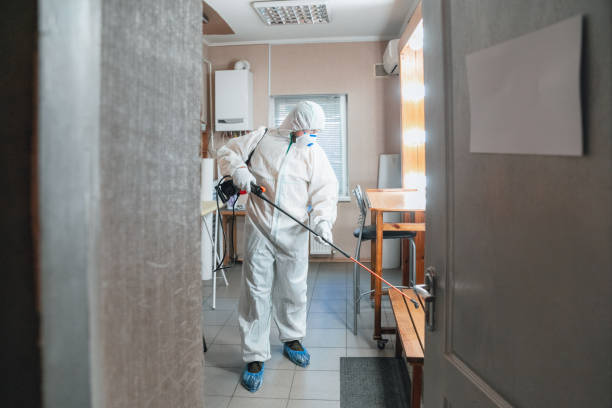 Best Biohazard Mold Removal  in Beloit, OH